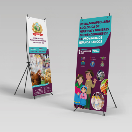 Proyecto “Salud, alimentación y emprendimientos agropecuarios en Huanca Sancos - Ayacucho”